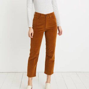 Marine Layer Straight Leg Pants in Rust